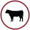 cattle-care-icon-qp77rx9ftsqlapdl5u1gbq3e70dufdc5pnbi275l5k