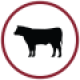 cattle-care-icon-qp77rx9ftsqlapdl5u1gbq3e70dufdc5pnbi275l5k