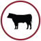 cattle-care-icon