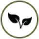 environment-icon-qp77szstm07ciptlwsp5nydajt3w6yl5iy2eqjkg2g